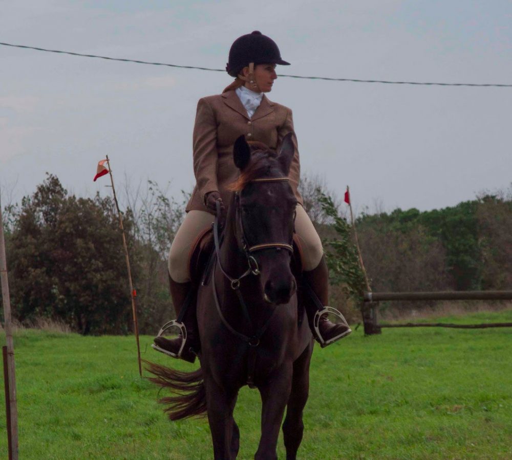 48bd5d05-8c53-4fa1-9289-91d8d7bae29a